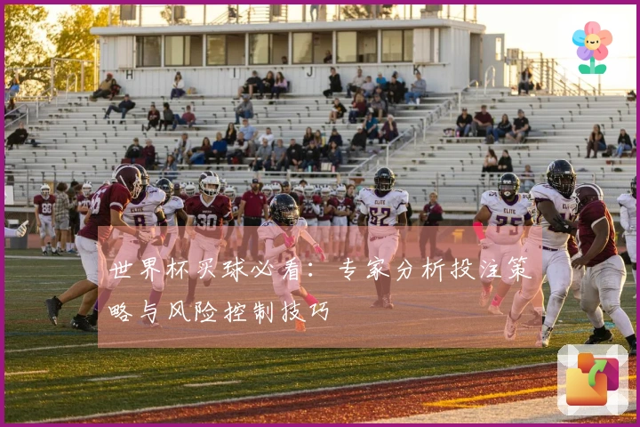 世界杯买球必看：专家分析投注策略与风险控制技巧
