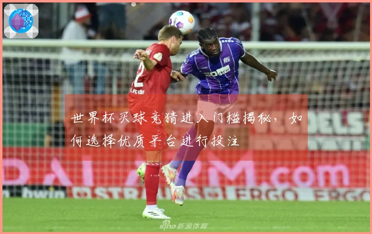 世界杯买球竞猜进入门槛揭秘，如何选择优质平台进行投注