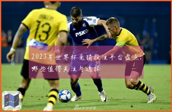 2023年世界杯竞猜投注平台盘点：哪些值得关注与选择