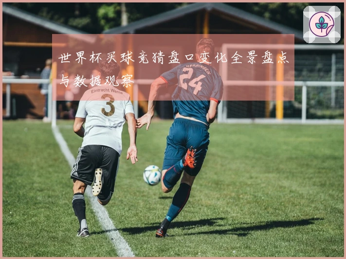 世界杯买球竞猜盘口变化全景盘点与数据观察