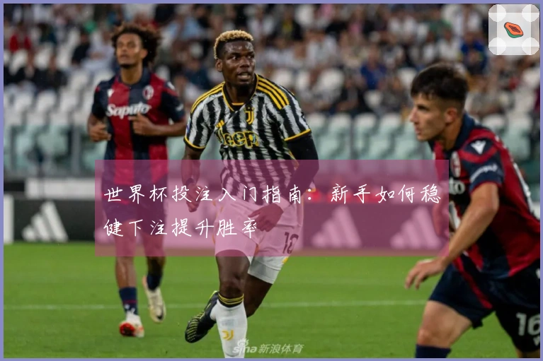世界杯投注入门指南：新手如何稳健下注提升胜率